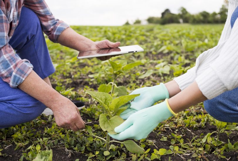 people-farming-together-close-up